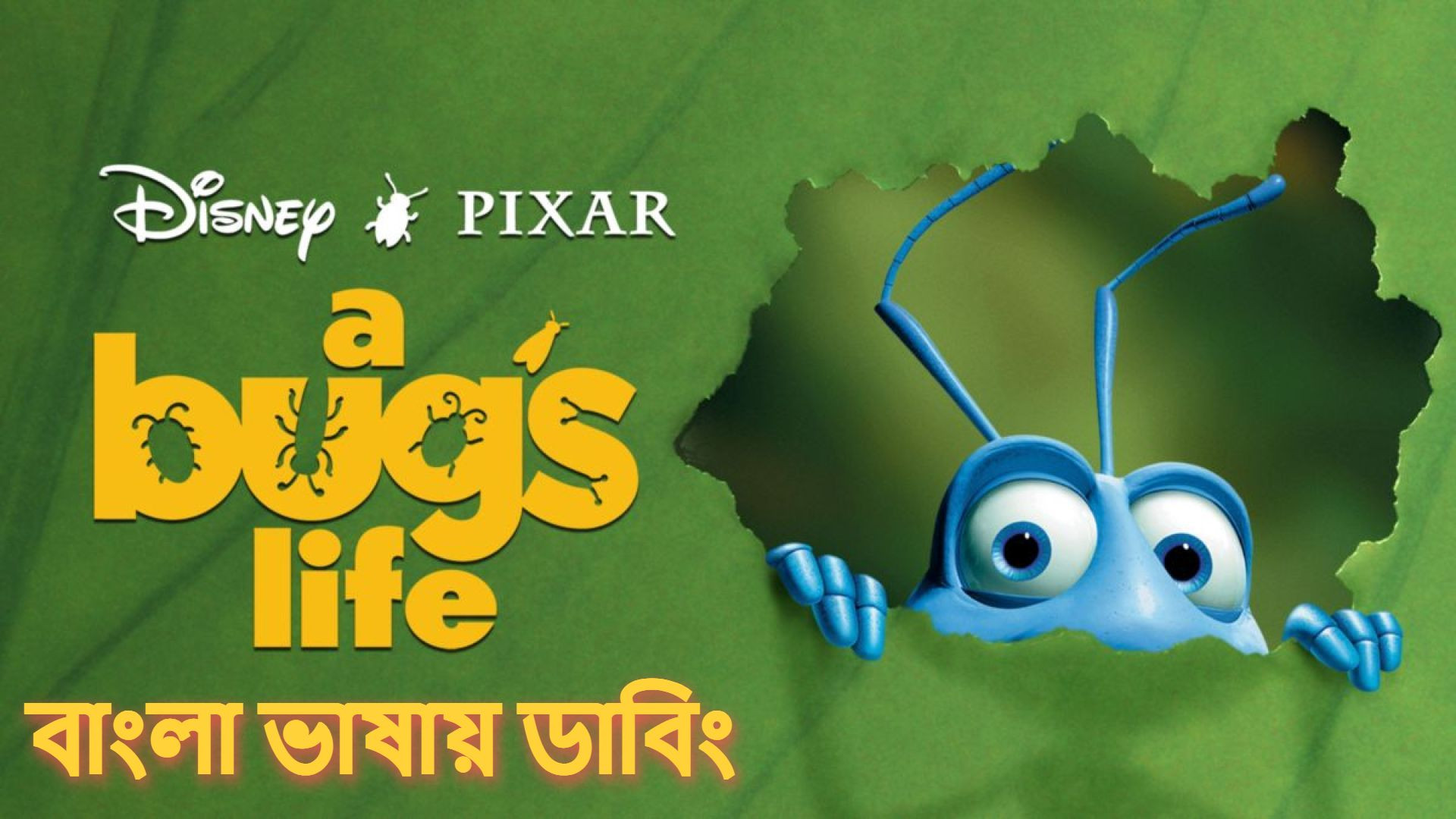 A Bug’s Life